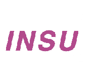 logo_INSU