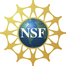 logo_NSF