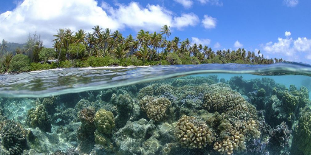 Deux scénarios pour le futur des océans en vue de la COP 21