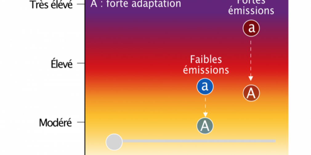 Estimation du risque global du changement climatique anthropique