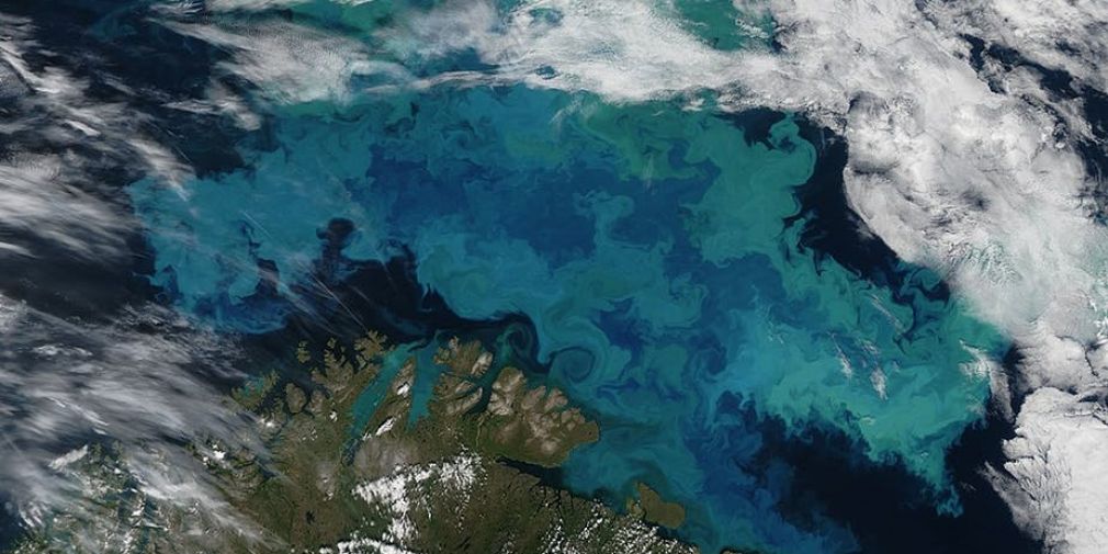 La couleur de l'océan met-elle en lumière le réchauffement climatique ?