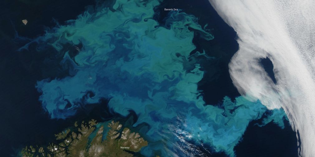 La micro-algue calcifiante Emiliana Huxleyi (EHUX) : un bio-indicateur remarquable du changement climatique dans l'Océan Subarctique et son rôle énigmatique dans le cycle du carbone