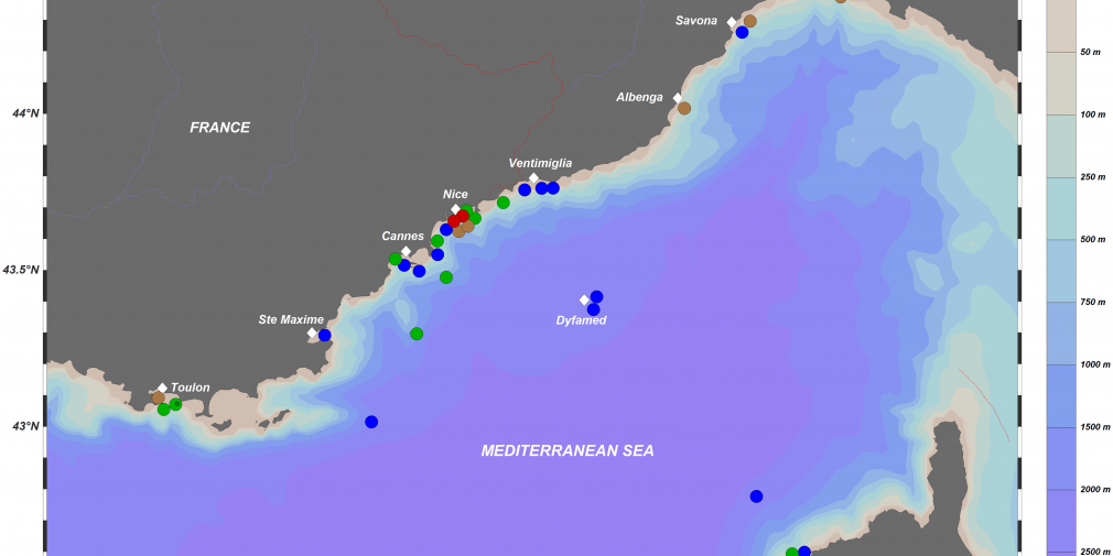 Changes in the Floating Plastic Pollution of the Mediterranean Sea in Relation to the Distance to Land