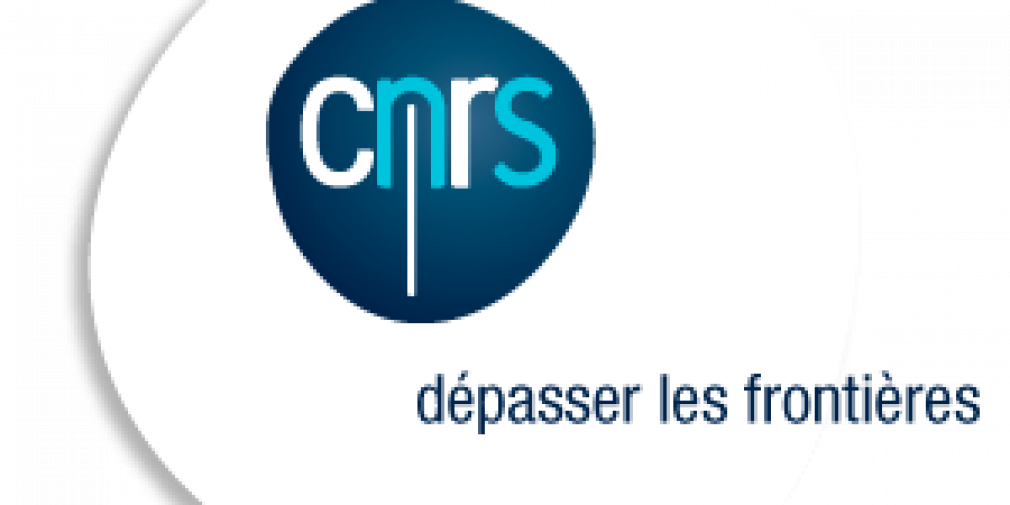 Appel à projets CNRS-Momentum