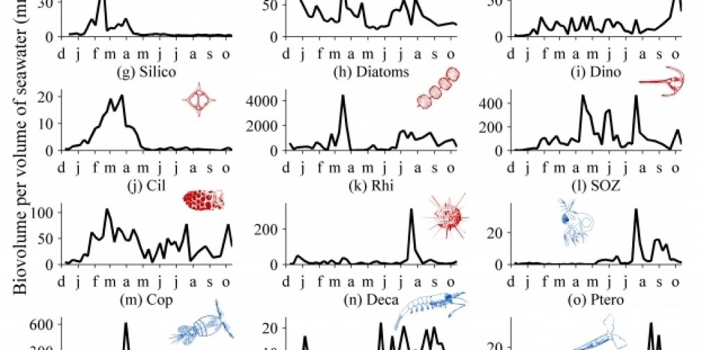 Nouvelle compréhension de la succession planctonique