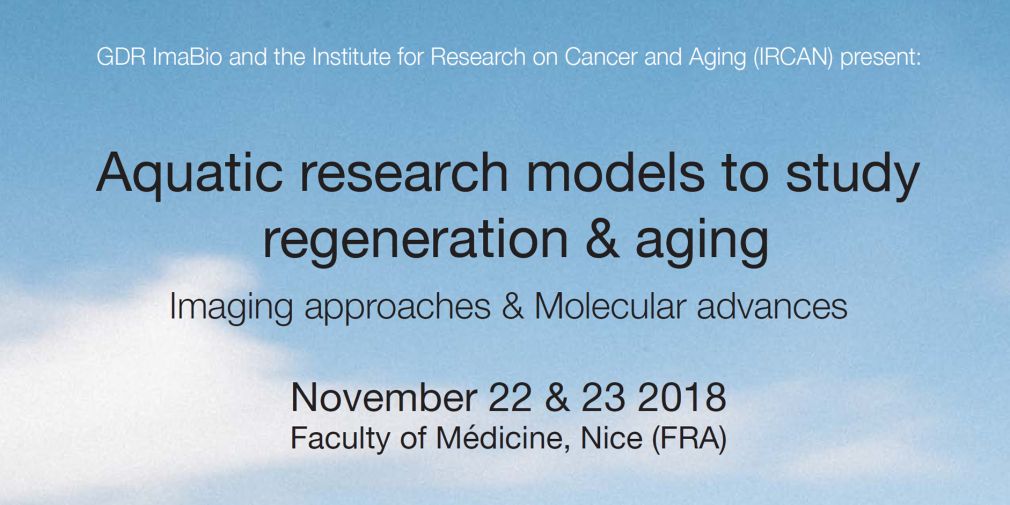 Workshop : Aquatic research models to study regeneration and aging