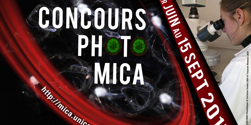 Concours Photo MICA pour les scientifiques azuréens