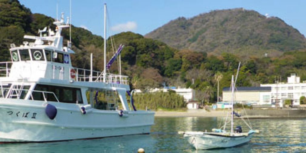 Collaborations with Shimoda Marine Resaearch Center in Japan