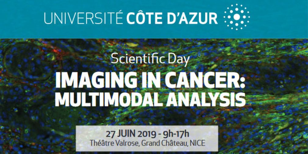 Imaging in Cancer: Multimodal Analysis