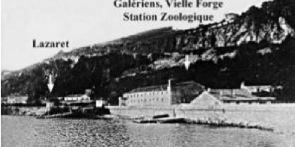 The History of Biological Exploration of the Bay of Villefranche