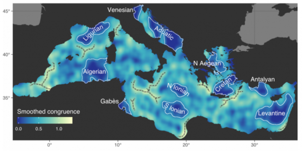 Une synthèse des différentes écorégions de la mer Méditerranée