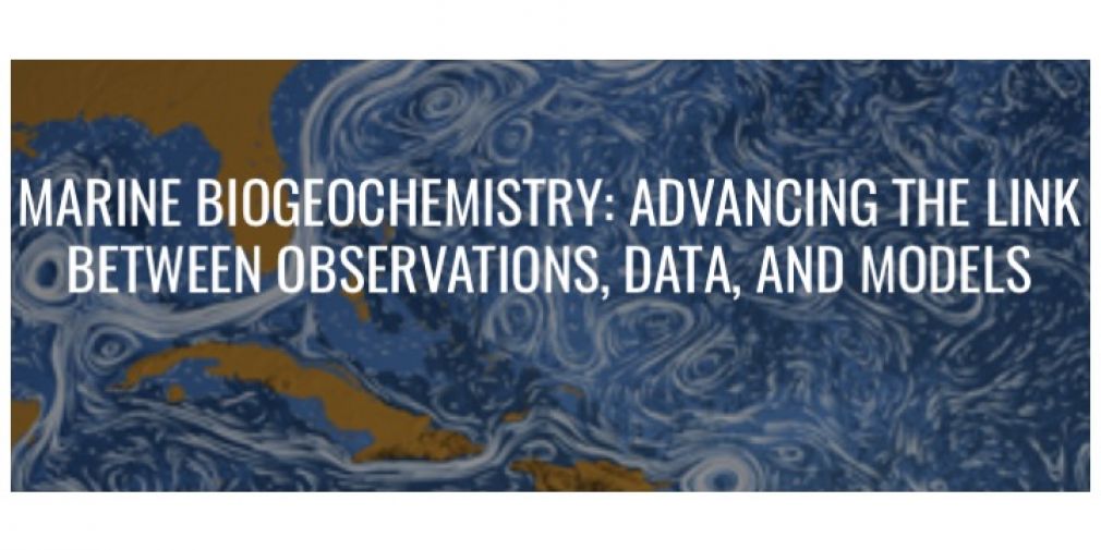 MARINE BIOGEOCHEMISTRY: ADVANCING THE LINK BETWEEN OBSERVATIONS, DATA, AND MODELS