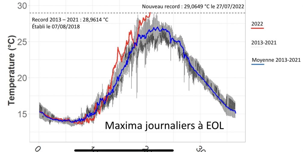 La Méditerranée se « tropicalise » : une canicule marine touche les eaux azuréennes.