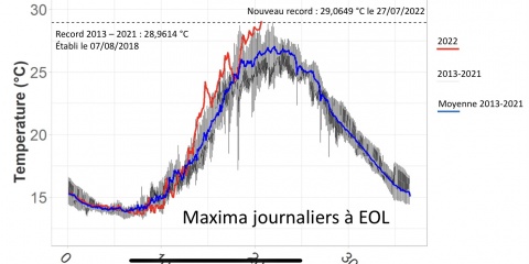 La Méditerranée se « tropicalise » : une canicule marine touche les eaux azuréennes.