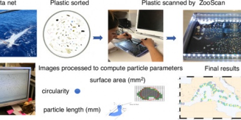Un état des lieux des débris de plastique en mer Méditerranée