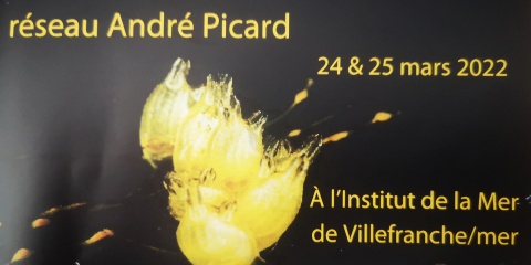L'IMEV accueille les 12è Journées du réseau André Picard
