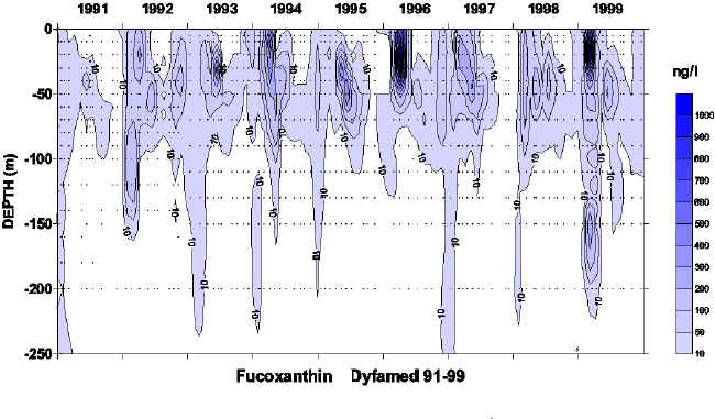 sodyf_pig_Fucoxanthin.jpg (335398 octets)